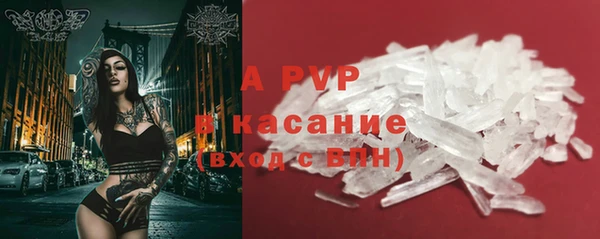 ECSTASY Алзамай