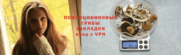 ECSTASY Алзамай