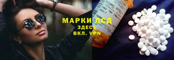 ECSTASY Алзамай