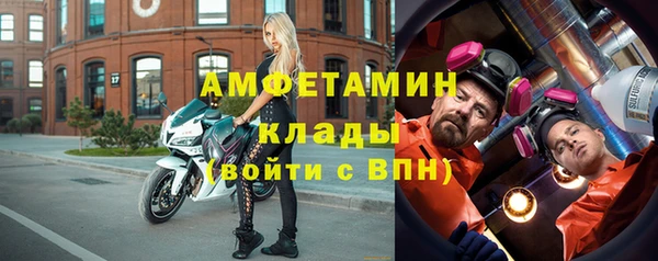 ECSTASY Алзамай