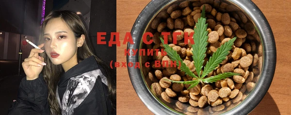 ECSTASY Алзамай