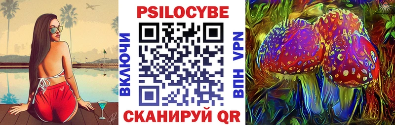 Галлюциногенные грибы Psilocybe  Шадринск 