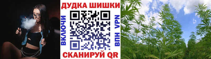 Шишки марихуана сатива Шадринск